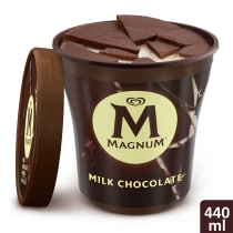 Milk Chocolate Vanilla Ice Cream Tub | Magnum